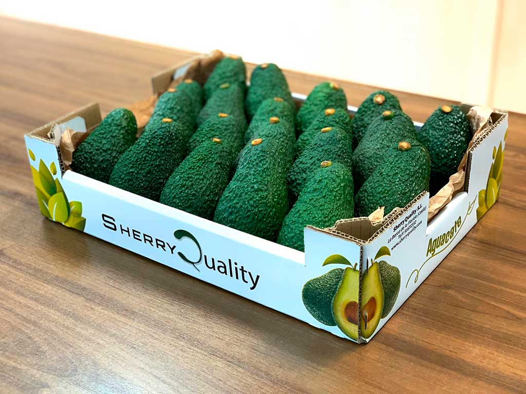 CAJA DE AGUACATES HASS
